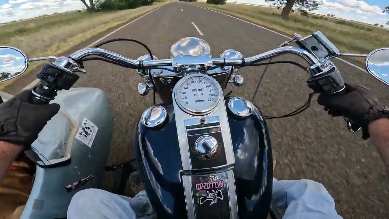 1988 Harley Davidson Heritage Softail and Sidecar with Cattle dog. Fifield Rd.