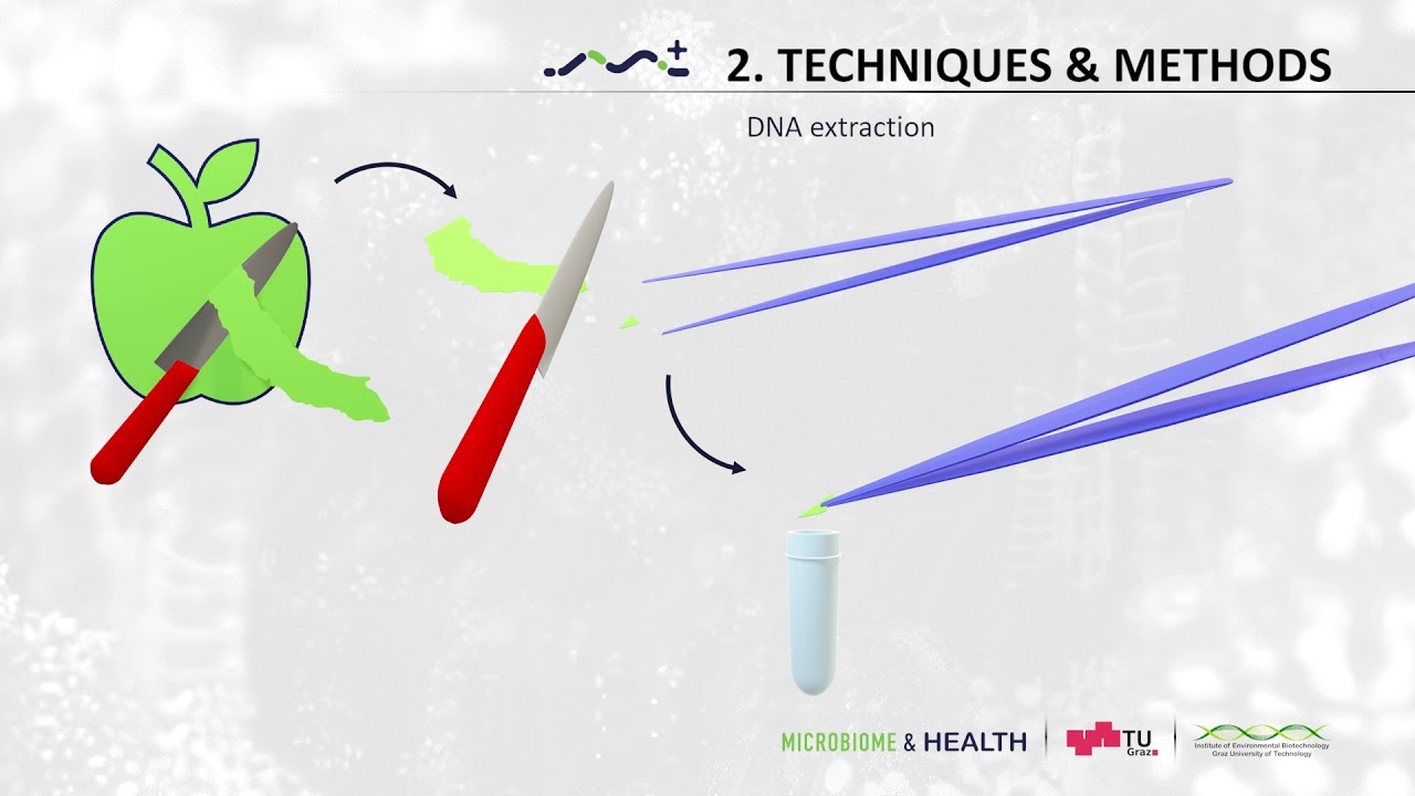 [microbiome] Techniques & Methods: Case study - metabarcoding (2.2)