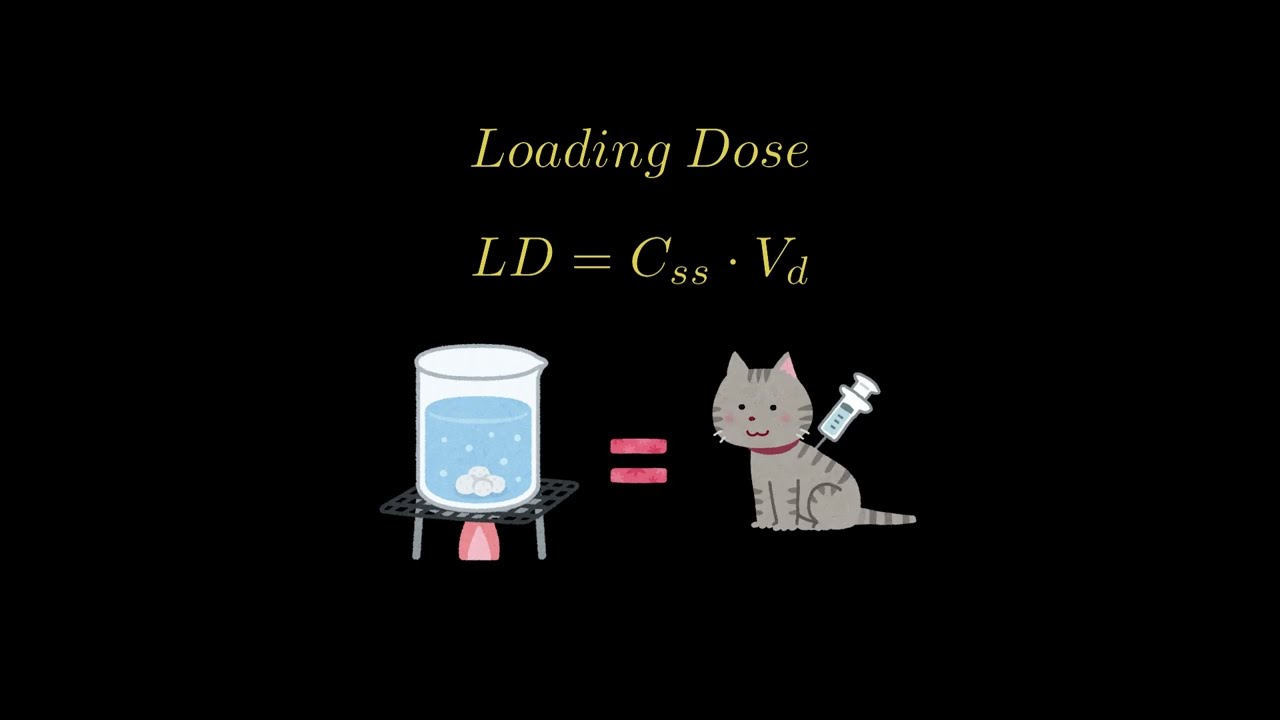 Pharmacokinetics: Bolus Loading Doses