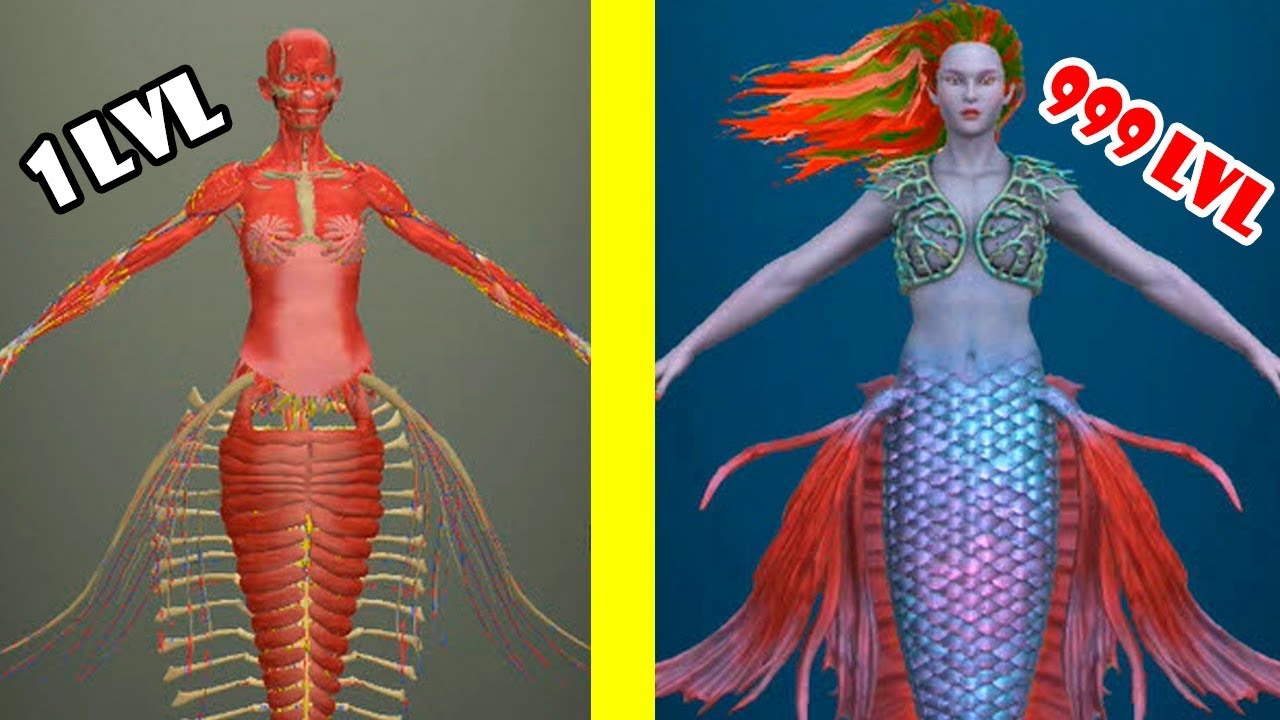 Idle Human - Mermaid! Opened New Creature Is Mermaid! Max Level Evolution in Idle Human