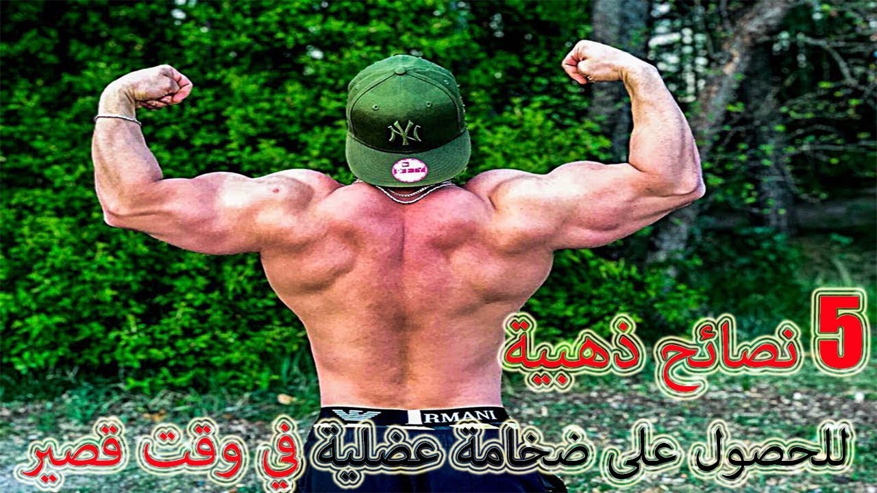 تضخيم العضلات بصورة طبيعية باسرع وقت !!