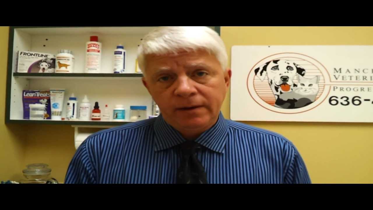 Pet Tips - Thyroid Disease in Dogs and Cats