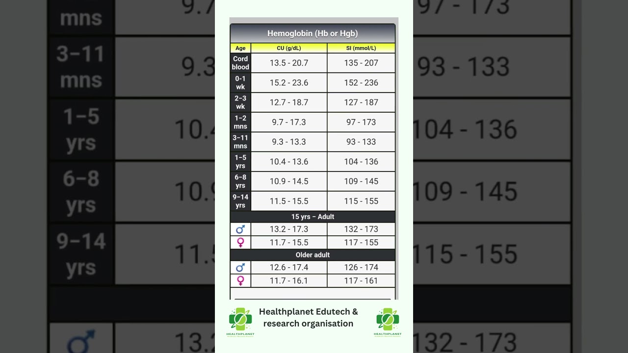 Normal Haemoglobin level