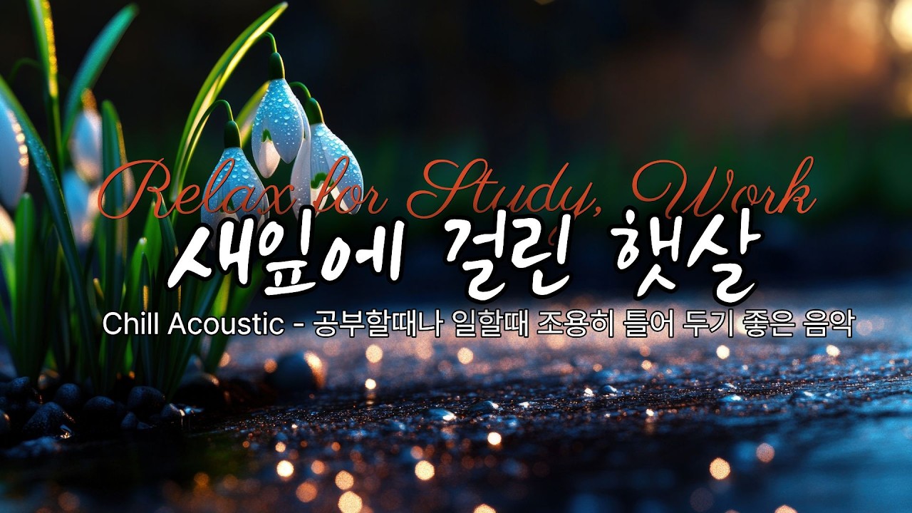 Chill Acoustic Ambient - 조용히 혼자 있고 싶을 때 듣는 감성음악, 공부할 때나 일하면서 듣기 좋은 카페 음악