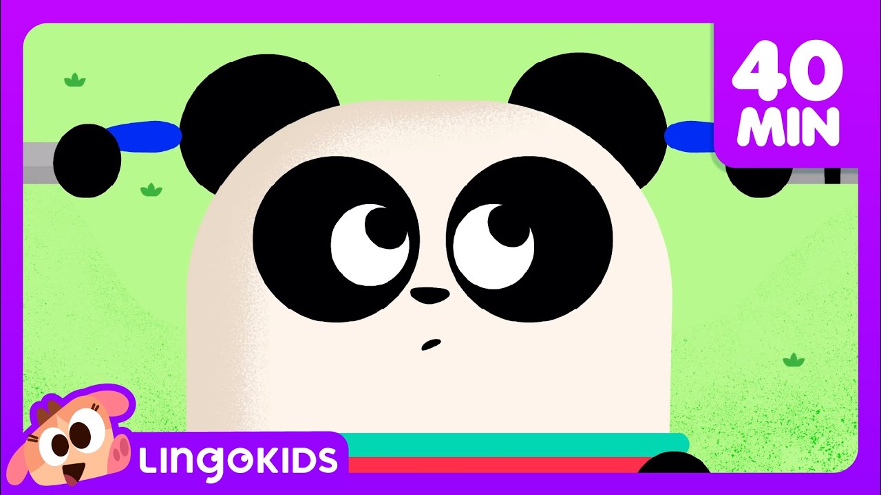 Head Shoulders Knees and Toes 🎶 + More Fun Songs for Kids | Lingokids