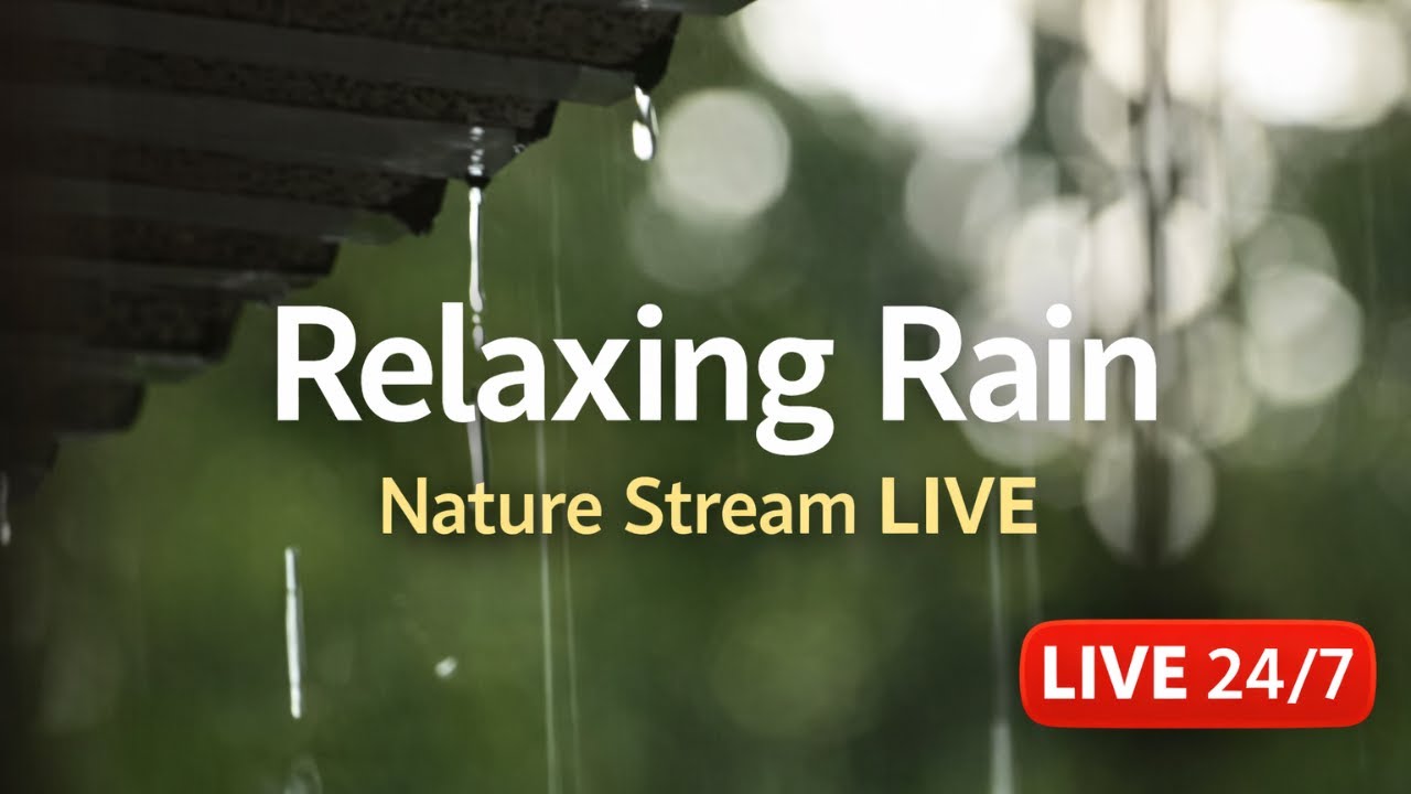 Rain Sounds for Deep Sleep 🌧️😴 | Relaxing Rain Ambience | Live 24/7