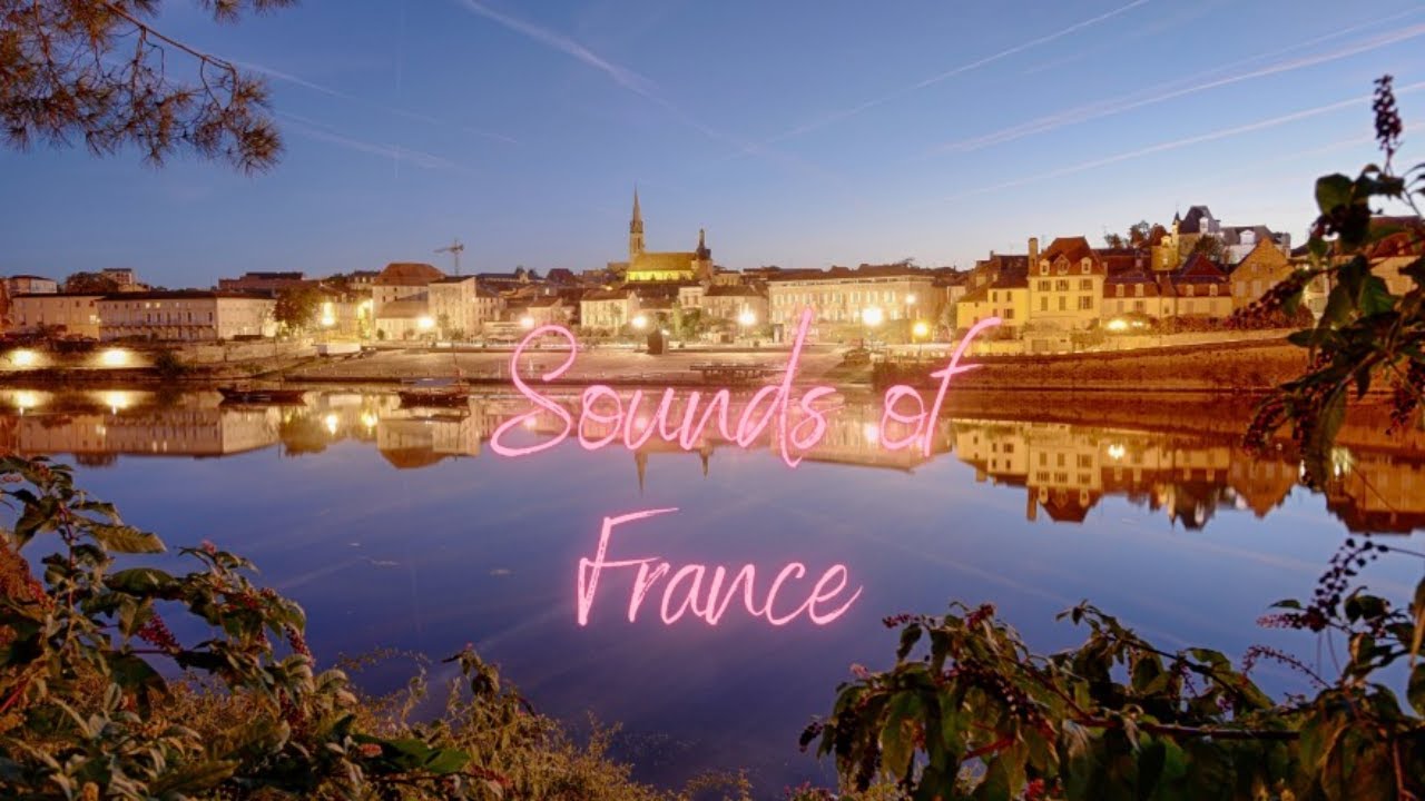 Sounds of Provence in France, cicadas and sunshine, with sunflowers