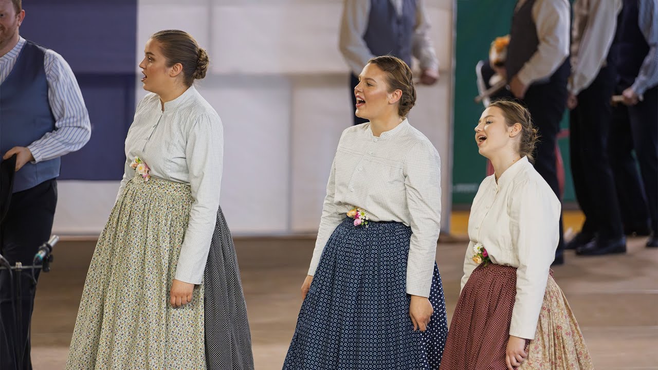 Območno MAROLTOVO SREČANJE 2025 - odrasle folklorne skupine