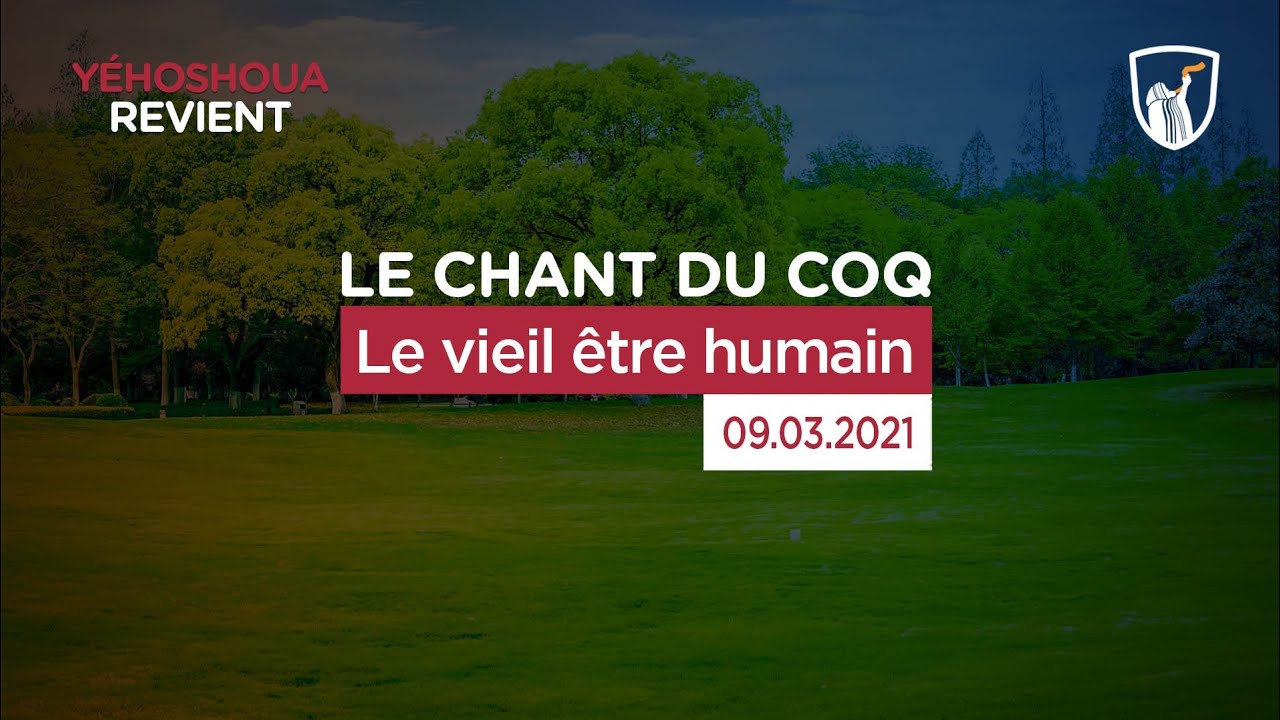 Le vieil être humain