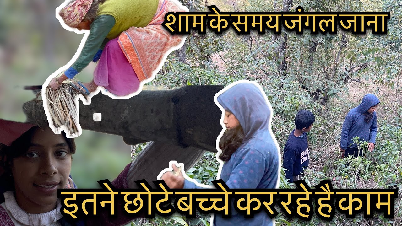 गाँव में आज कल काम का माहौल 🤌 छोटे बच्चे कितना काम करते हैं ❤️🙏
