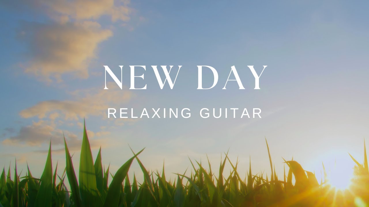 Peaceful Relaxing Guitar Music | Work Study Focus | 1 Hour