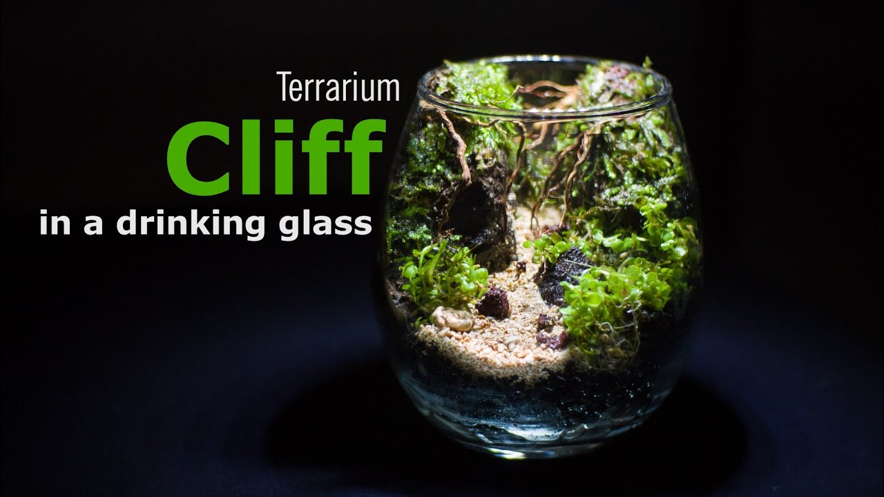 Cliff in a drinking glass | Terrarium