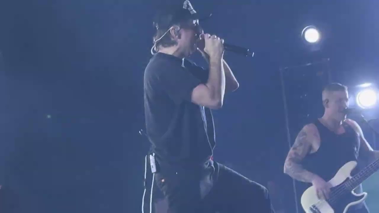 All Time Low Butterflies LIVE 