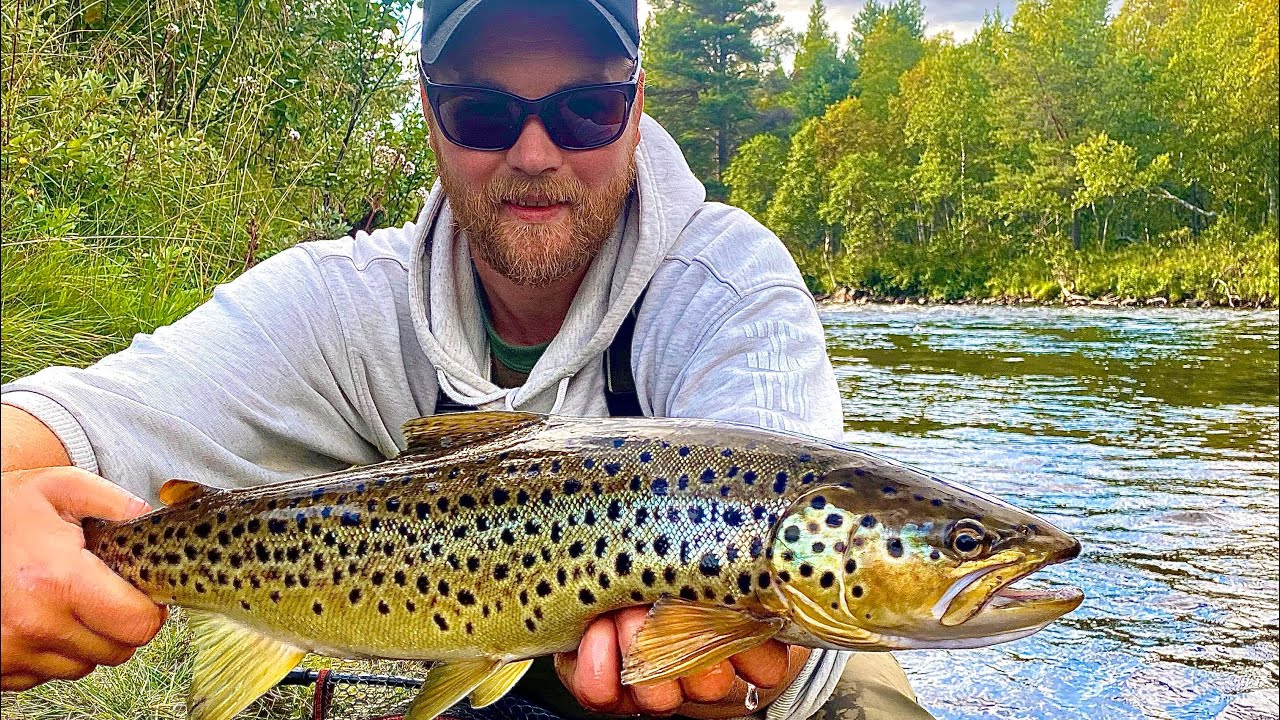 Fiske i hognsjøen og sømåa.