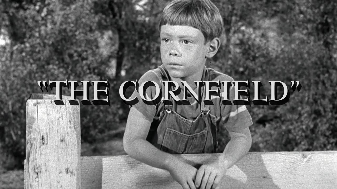 The Cornfield (a Twilight Zone fan video)