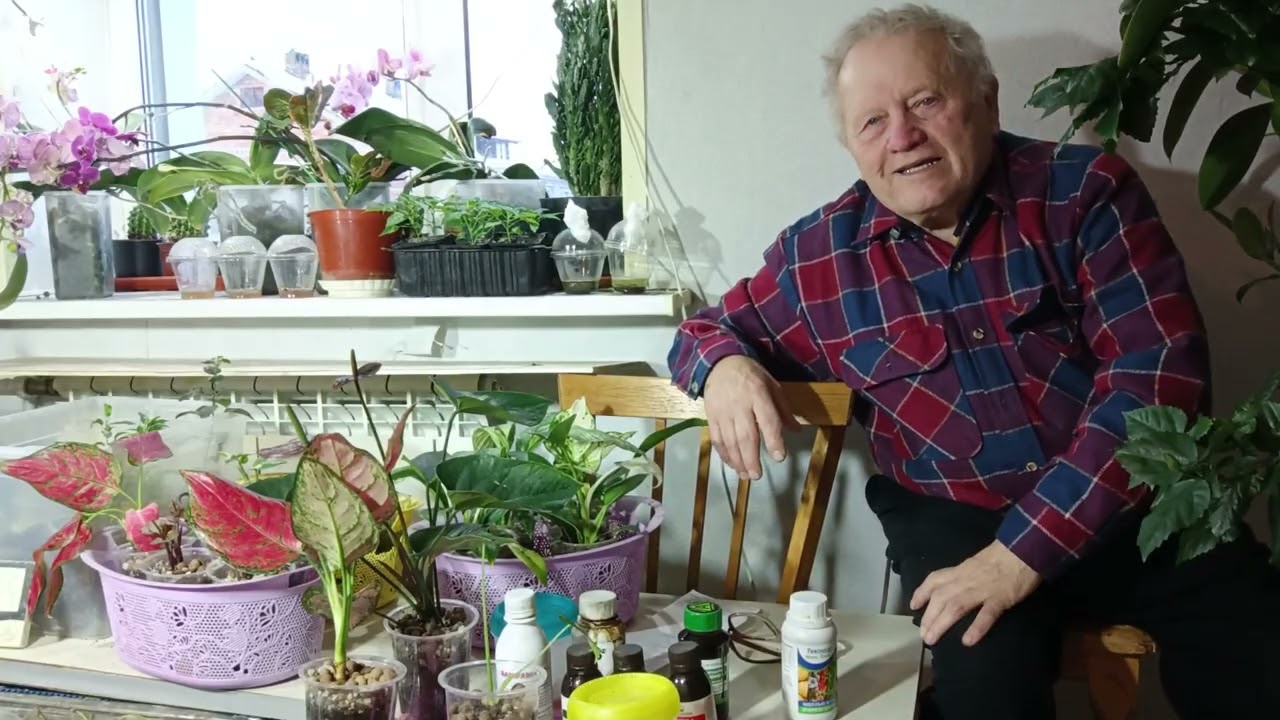 Как я выращиваю комнатные цветы. Полугидропоника и современные биостимуляторы по новому.