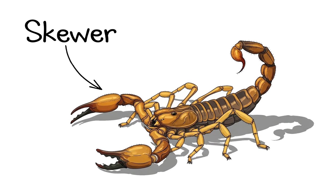 Why is it a TRAGEDY to be born as a Chinese Scorpion?