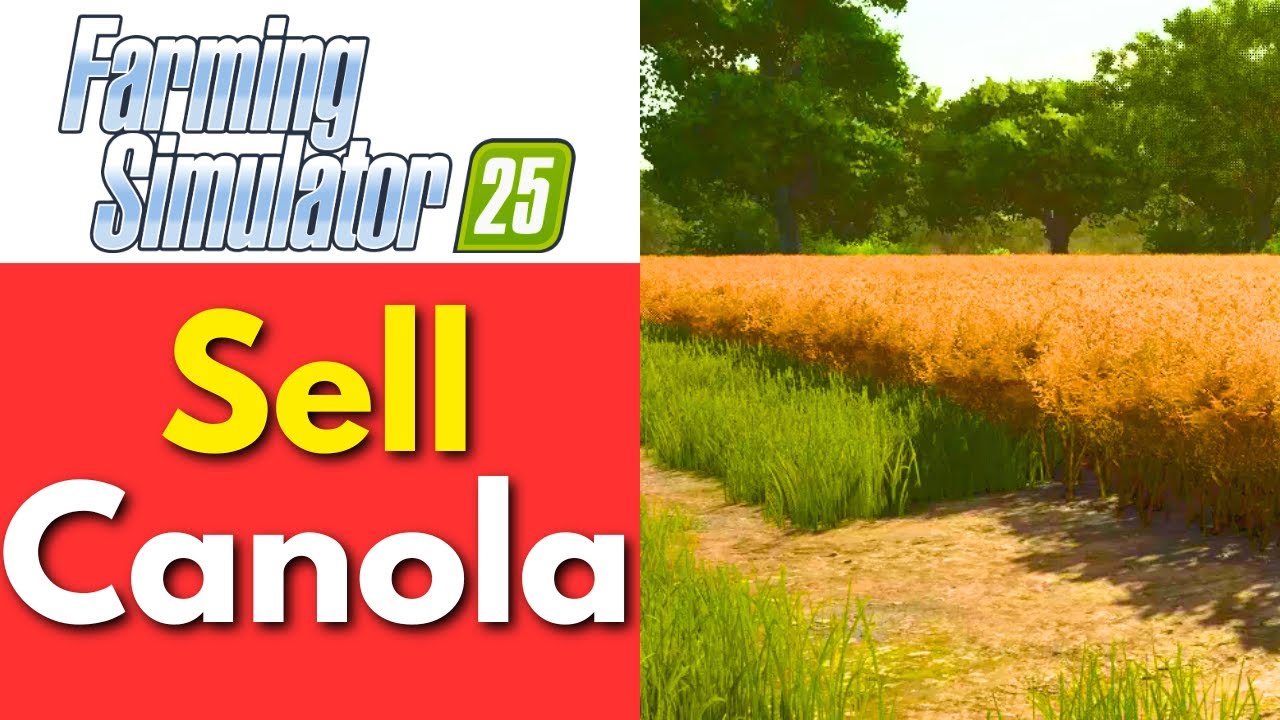 How To Sell Canola in Farming Simulator 25 (Quick Guide)