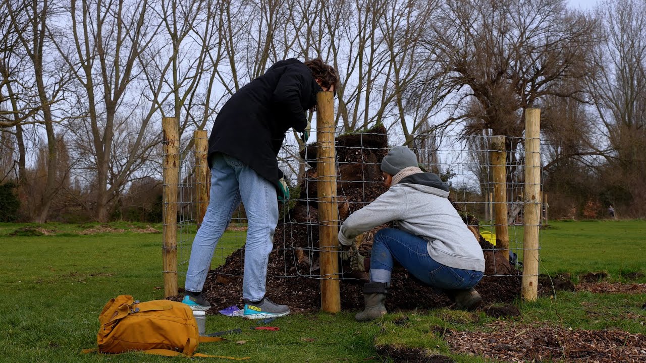 Hackney Marshes Habitat Creation Continues - London UK