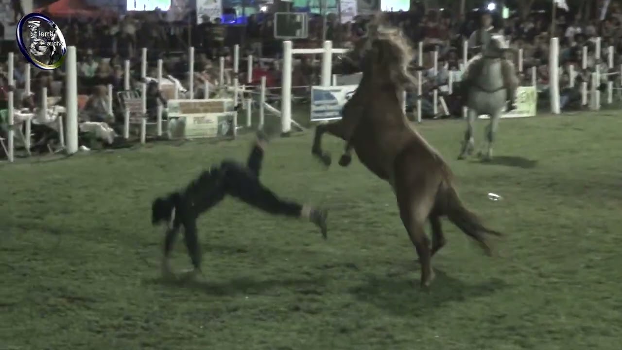 30º Fiesta del Caballo en Urdinarrain E. Ríos 2022 - Jineteadas en Clina (Viernes)