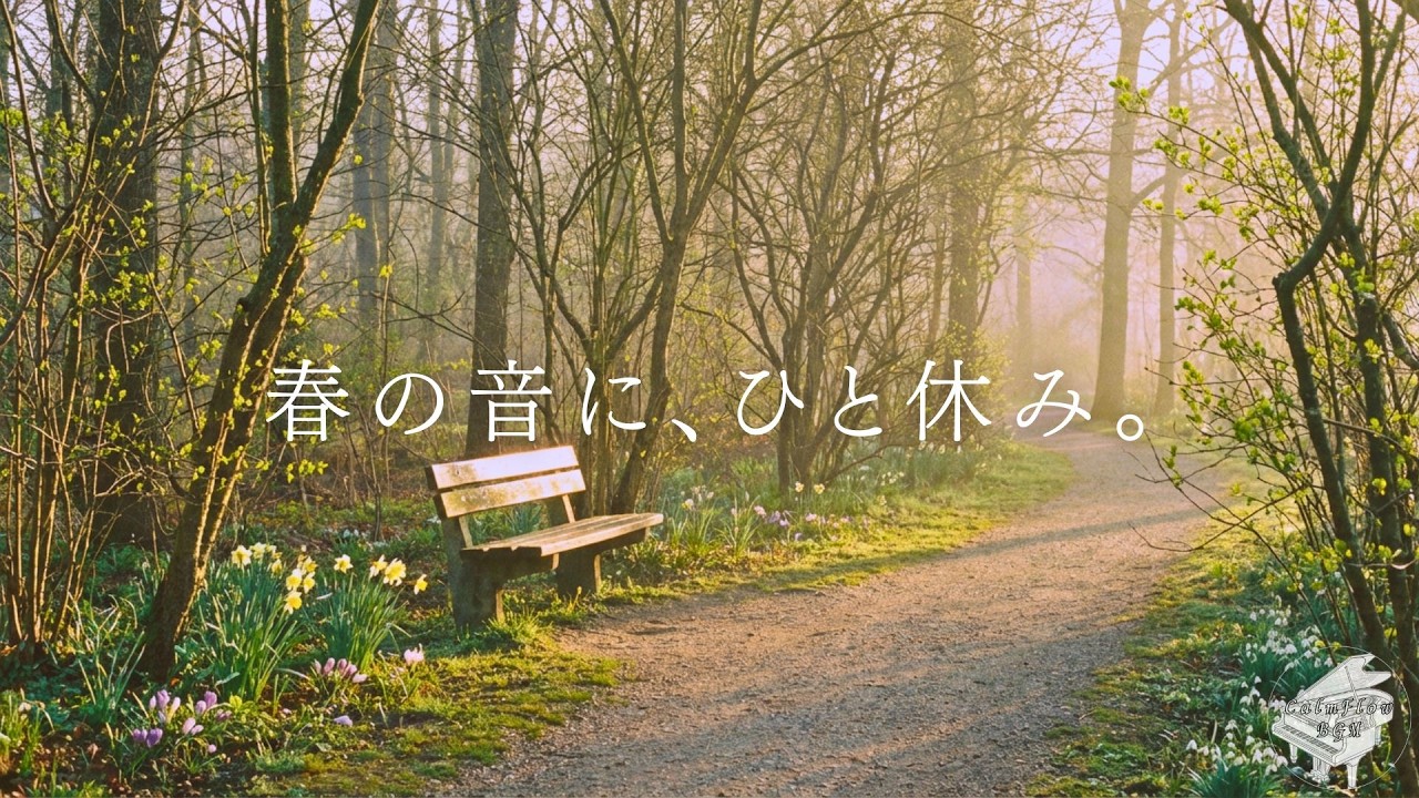 Spring Morning Piano | 春の音に、ひと休み。Relaxing Piano Music for Work, Study, Calm Morning