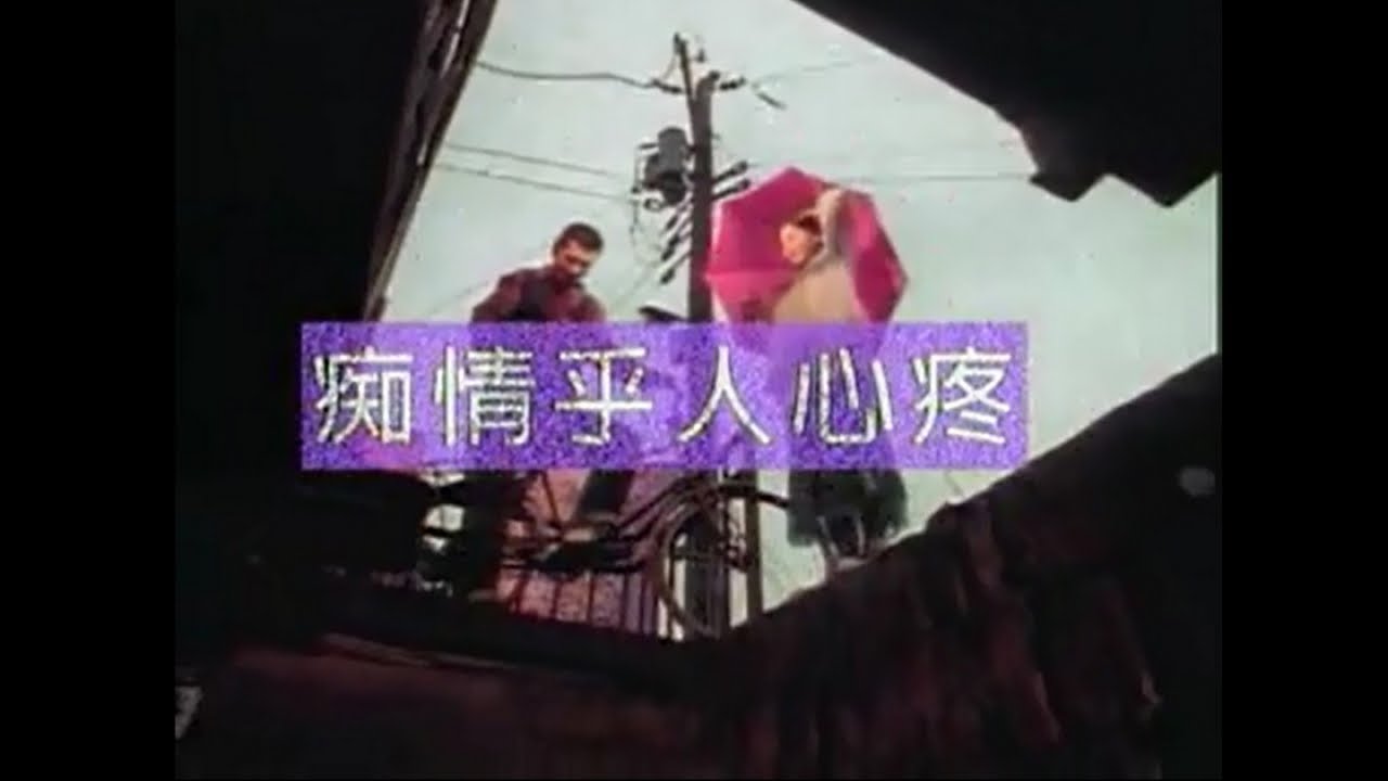 蔡小虎 - 痴情乎人心疼