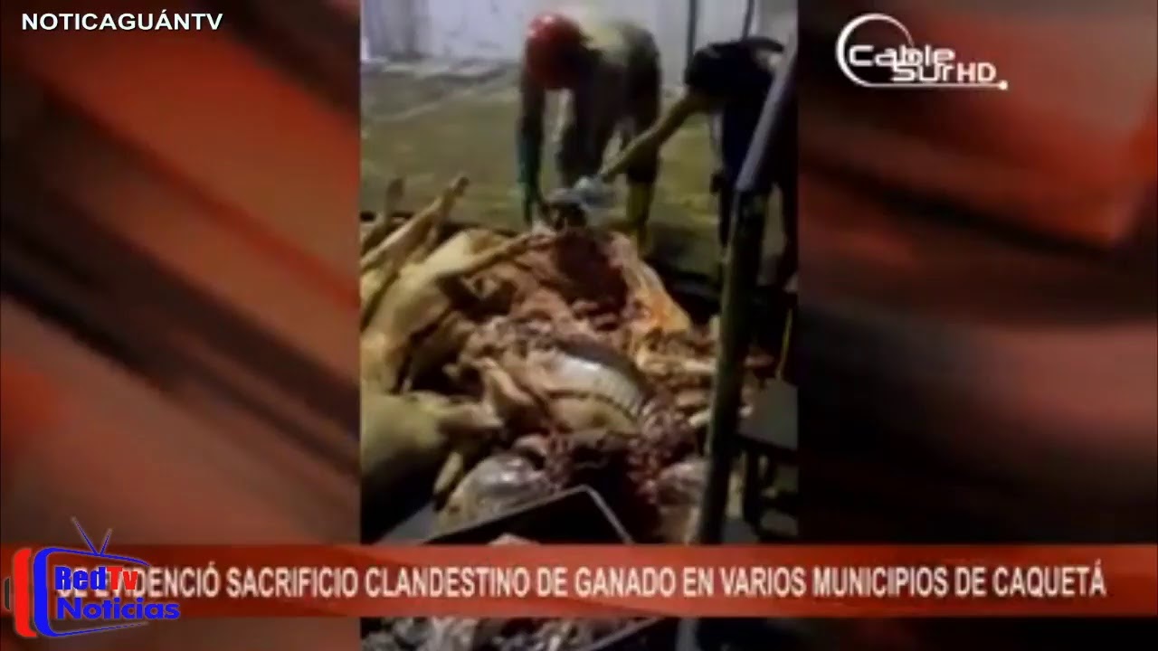 Transmisi&oacute;n en vivo de RedTv Noticias