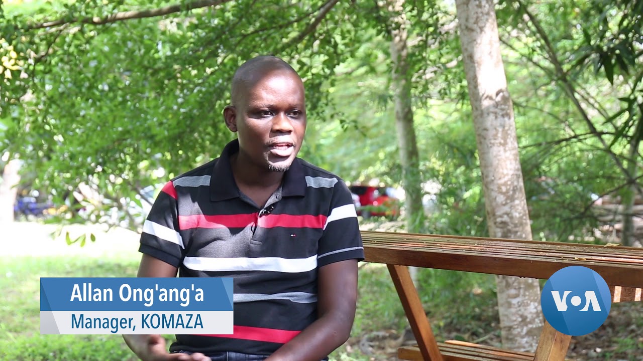 Sustainable Tree Farming Means Better Lives for Kenyan Farmers
