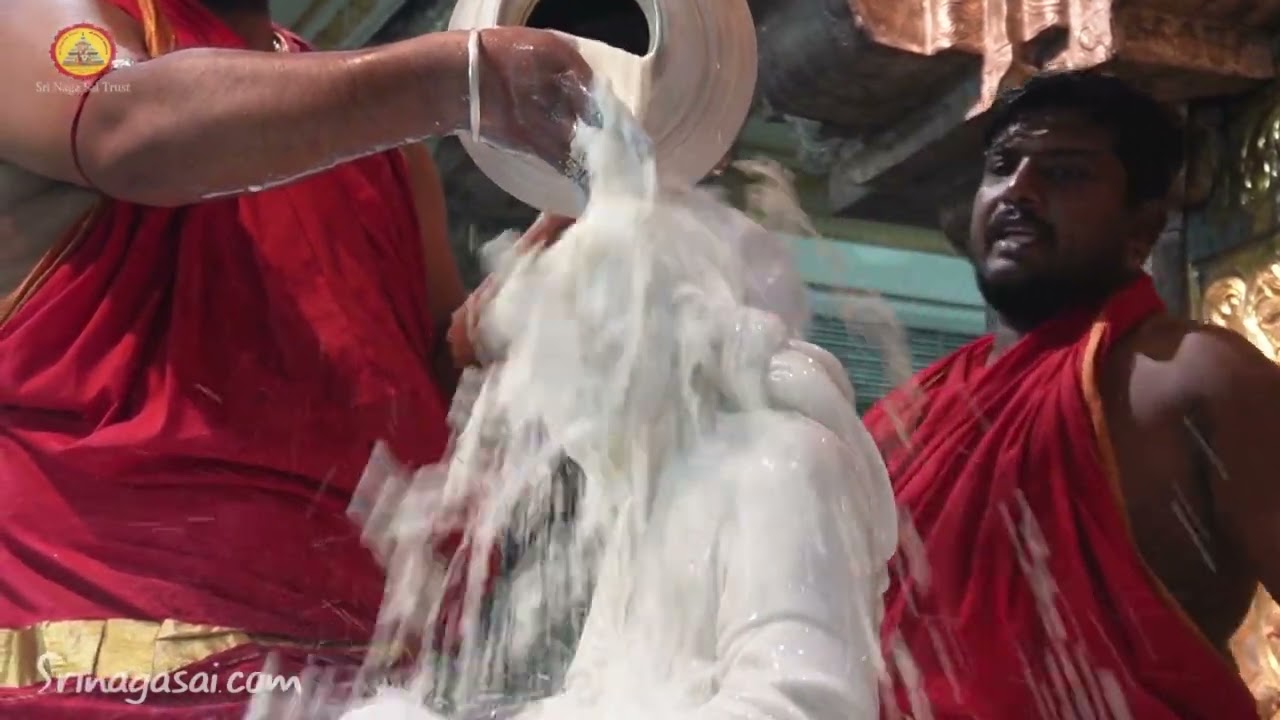 Sri Rama Navamami Utsav Glimpses 2023