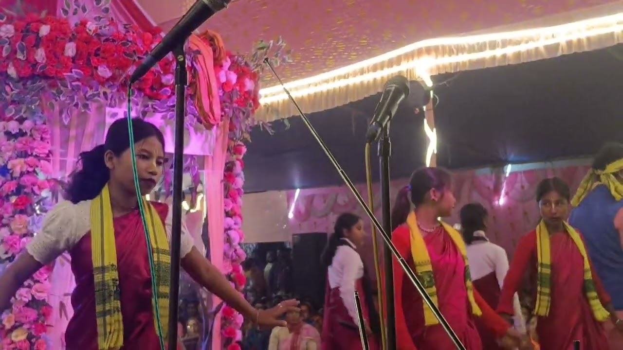 (মধুর হরির নাম হরে কৃষ্ণ হরে রাম🌹🌹 ) নয়ারহাট এই প্রোগ্রামটা ছিল&🎤🎤