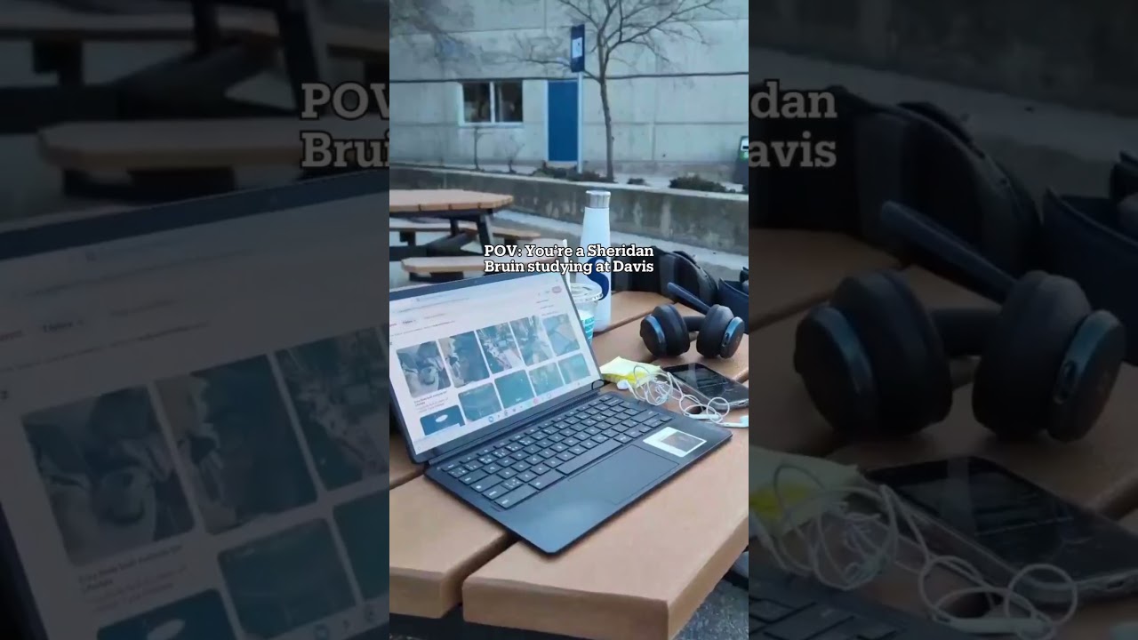Life as a student at #Sheridan Davis Campus #studentlife #campuslife