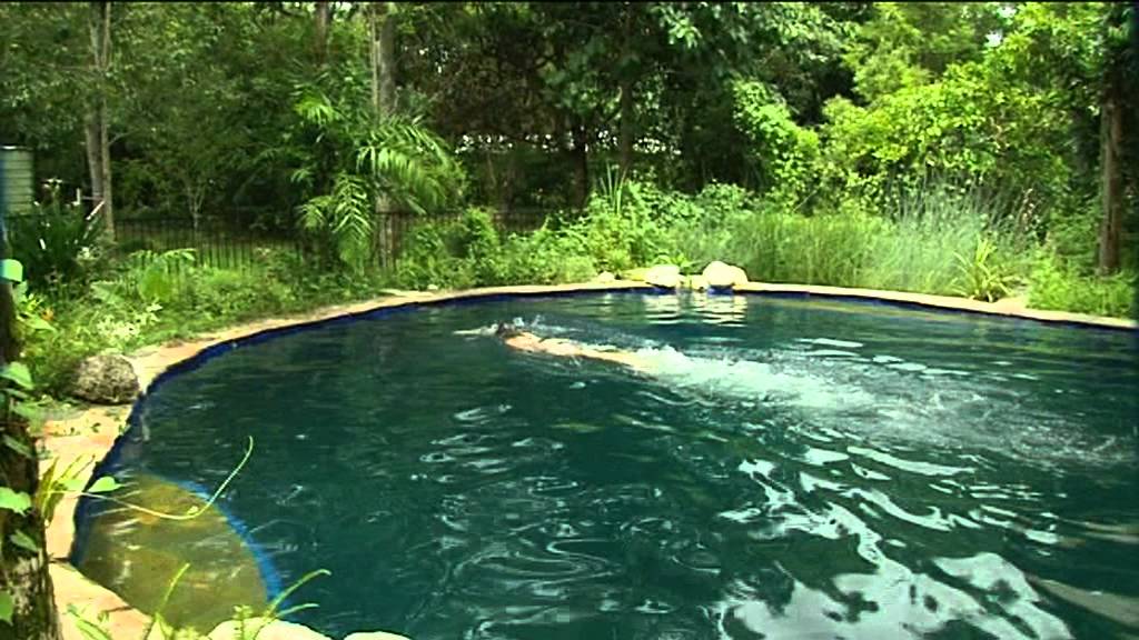 Swimming Pool without Chemicals is good for HEALTH and ENVIRONMENT