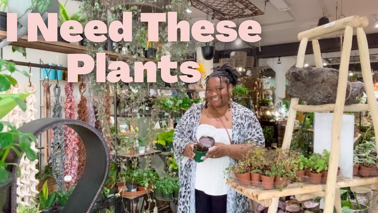 Plant Shopping!!💚 🪴 | HOUSEPLANT TOUR at Ruibals Plant Nursery in Dallas, TX