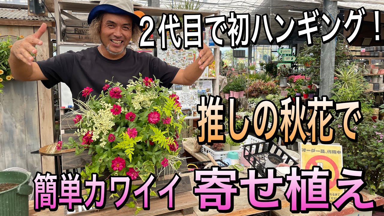 【寄せ植え】秋のハンギング！推しの秋花で空間演出☆