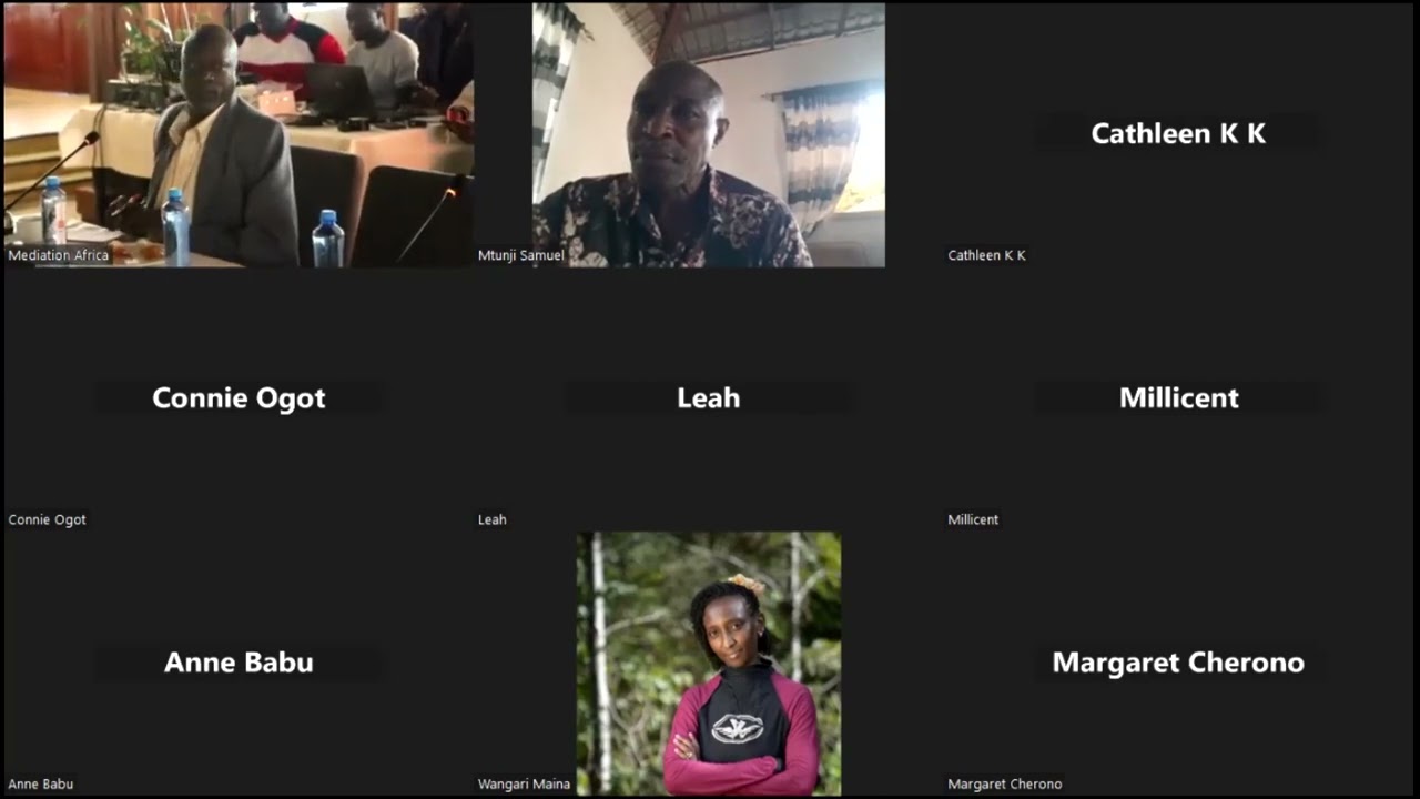 PEACE AND MEDIATION AFRICA ALUMNI MEETING
