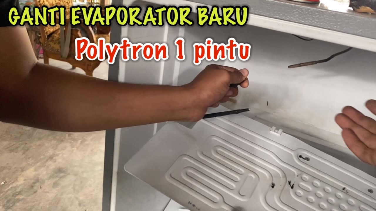 CARA MENGGANTI EVAPORATOR KULKAS POLYTRON 1 PINTU