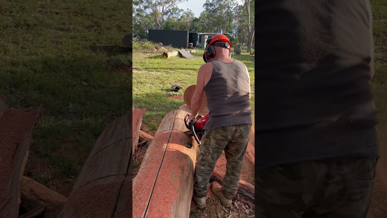 Firewood Australian Hardwood (GUM) cutting it up Chainsaw. #australia #firewood #svenomick #nature 