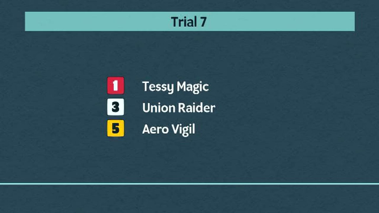 Monmore Greyhounds Trials on 19th January 2026