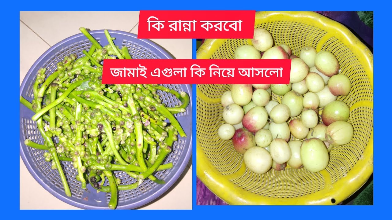 বিকেলে কি কি কাজ করি আমি 