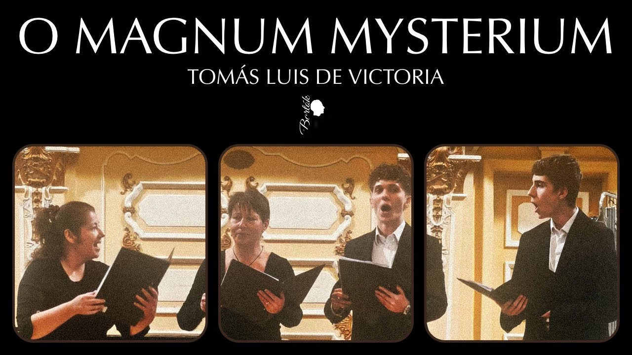 Tomás Luis de Victoria: O Magnum Mysterium🌟🕊️🕯️⛪🎶 #choir #chor #合唱 #混声合唱 #室内合唱