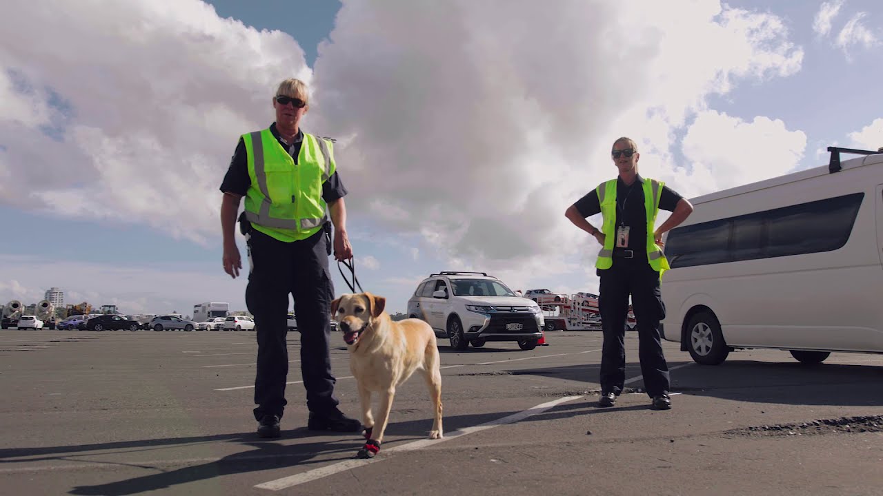 Ports of Auckland and Biosecurity NZ - SeePort 2021