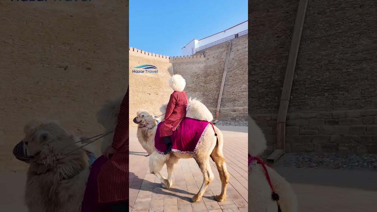 Framing History: A Turkmen's Exploration  