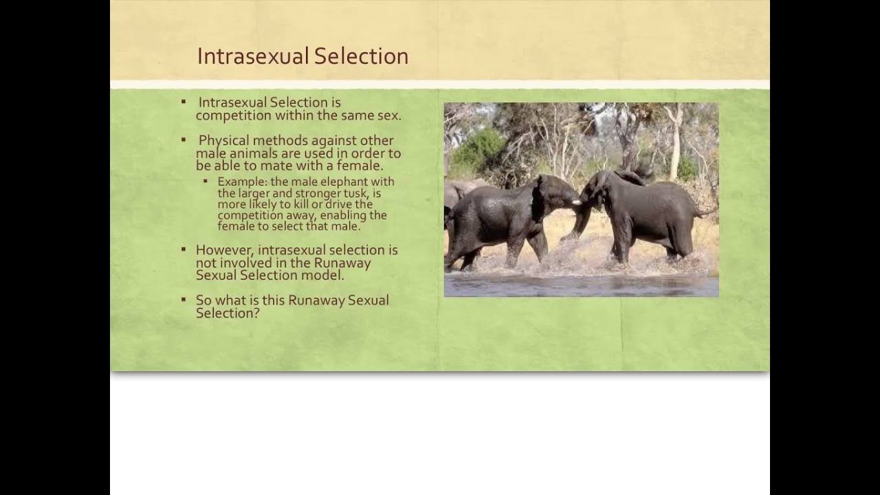 Runaway sexual selection