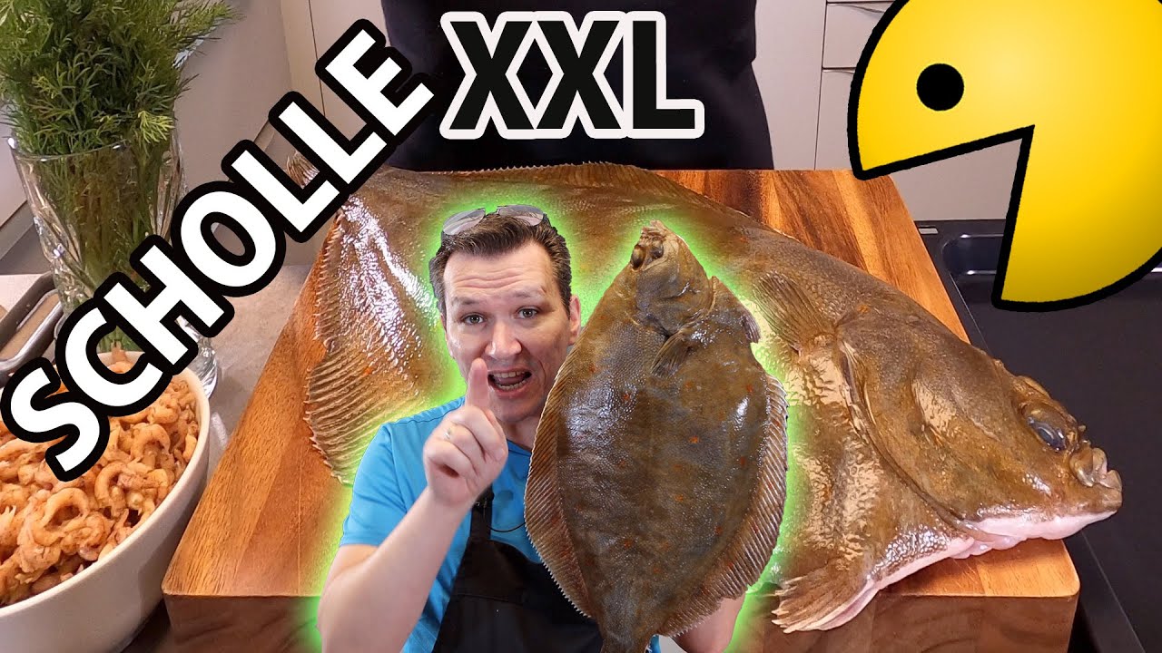 2,6 Kilo atlantische Scholle, wir zeigen wie es geht. Also, keine Angst vor großen Fischen!!!