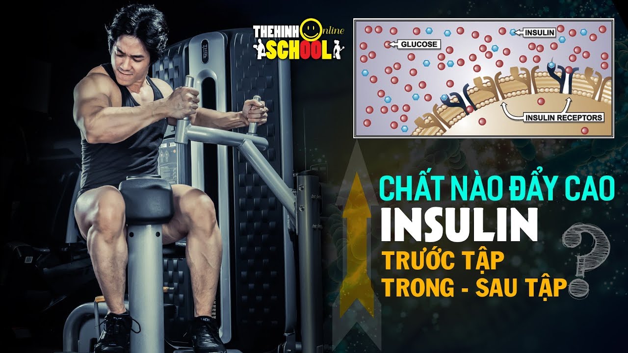 Chất nào đẩy insulin lên cao trước, trong và sau tập GYM