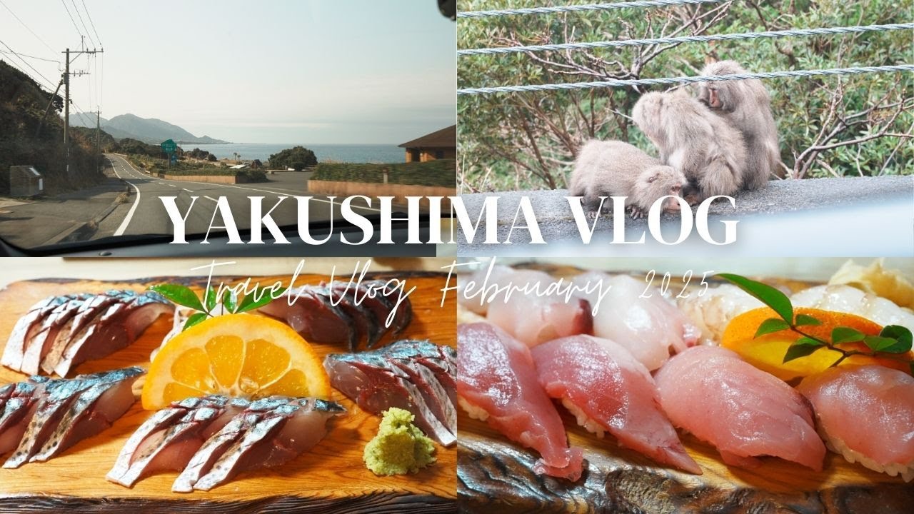 【屋久島Vlog#2】屋久島1周ドライブ前編/有名居酒屋で首折れサバ/世界遺産の島を楽しむ3泊4日
