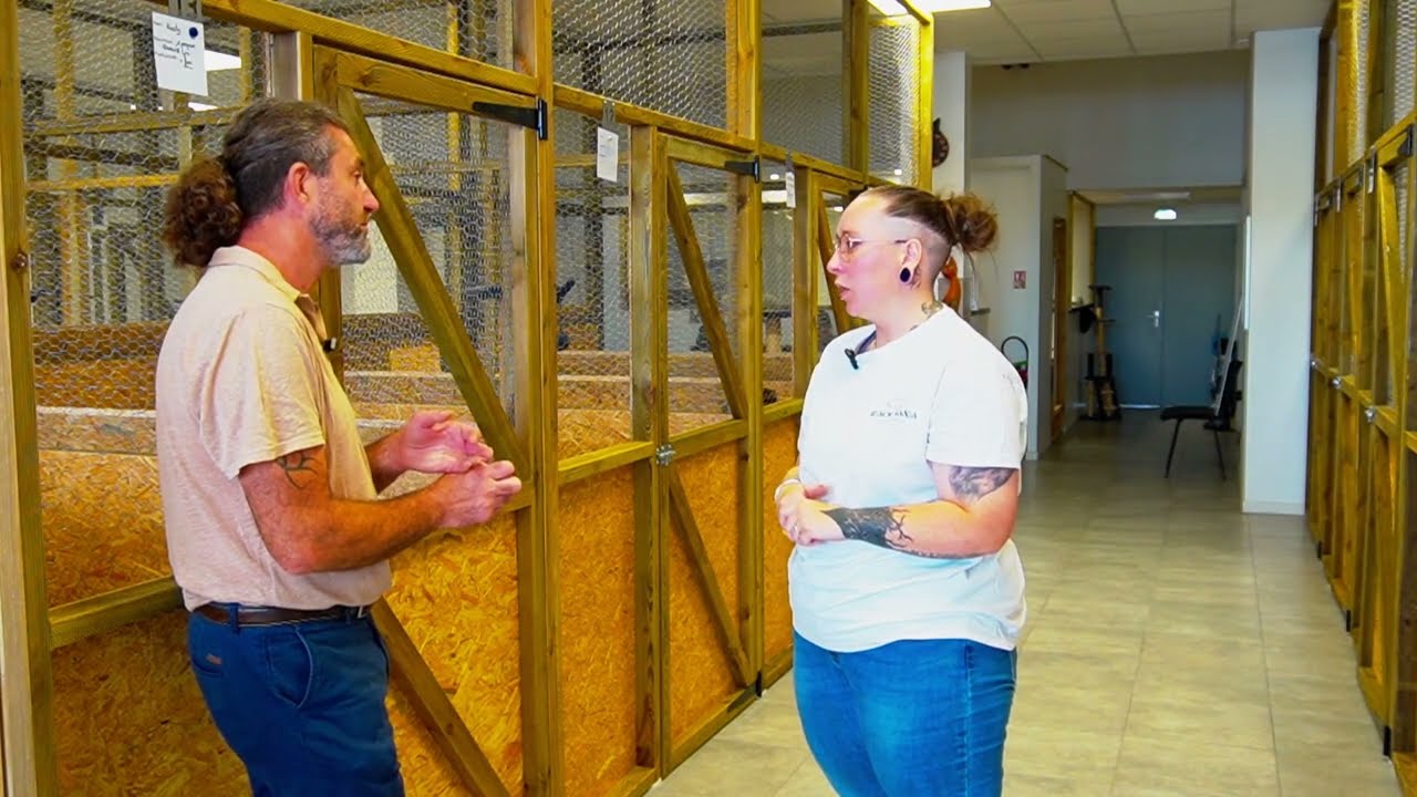 Présentation de la pension féline Miaoumania Montaigu