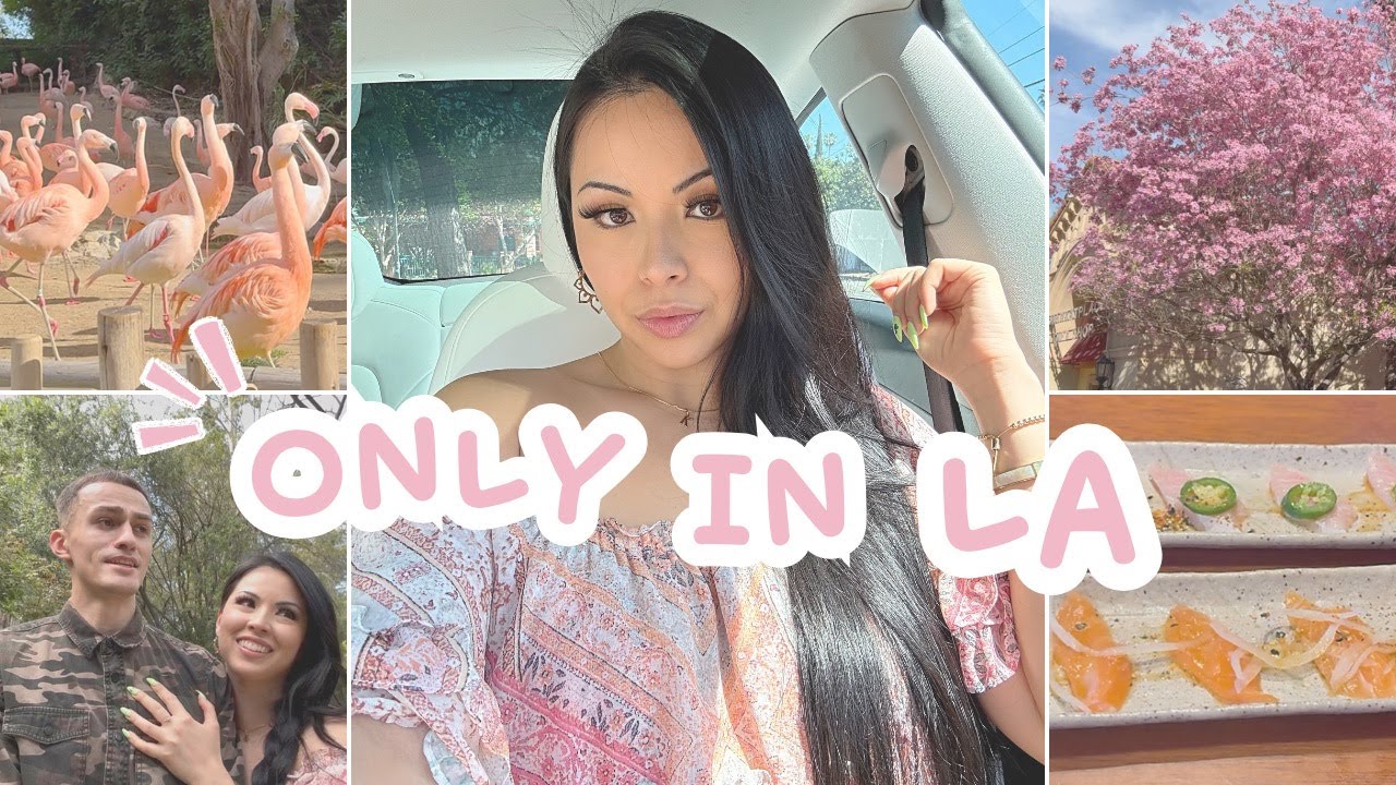 YOUR NEXT BEST DATE IN LA 🤌🏼 | Specialty Coffee, AYCE Sushi, LA Zoo 🦒