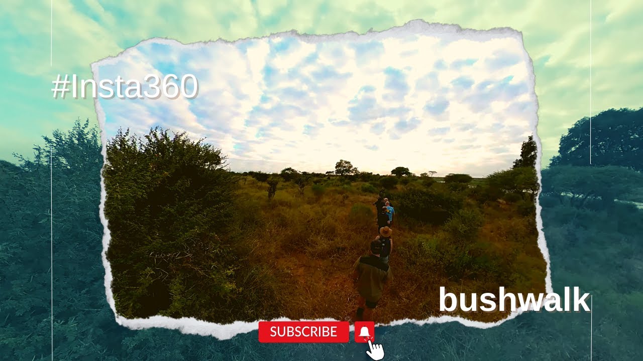 #Insta360 #krugernationalpark guided bushwalk
