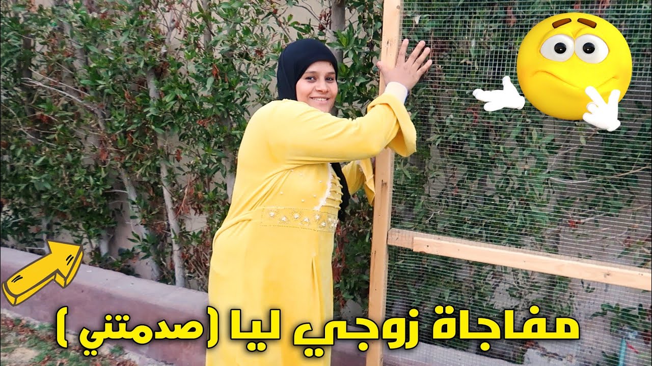 سوينا أكبر🐦